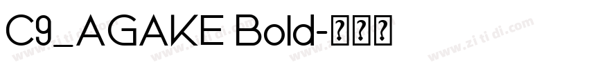 C9_AGAKE Bold字体转换